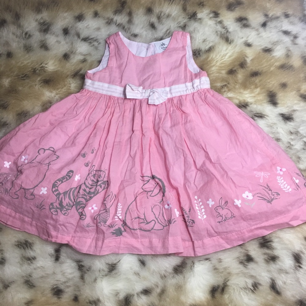 Disney Winnie The Pooh Dress NWOT